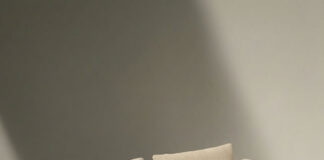 Daniela Ferro assina sofá Antônio, homenagem ao pai dos fundadores da marca - 1