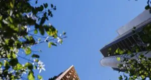 5 motivos para investir ou morar no primeiro edifício-árvore do Brasil - ARVORE