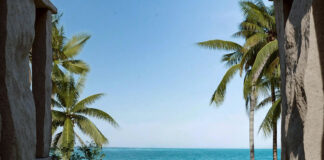 Conheça a praia agreste brasileira onde o metro quadrado pode ultrapassar R$ 100 mil nos próximos 3 anos  - Aquos