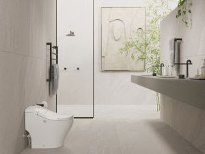 Bacia Single alia design, conforto, praticidade e segurança - BACIASINGLE