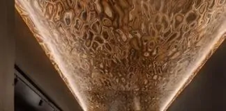Carlos Navero transforma banheiro em galeria de arte - BANHEIRO
