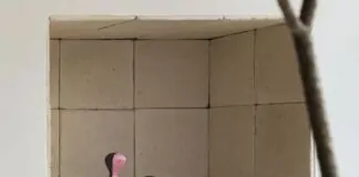 3ª edição da CASACOR Ribeirão reflete sobre o momento - CASACORRIBEIRAO capa