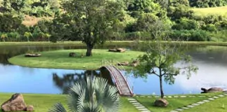 Grama, para além da estética: conheça 6 benefícios de ter gramado em residências - GRAMA