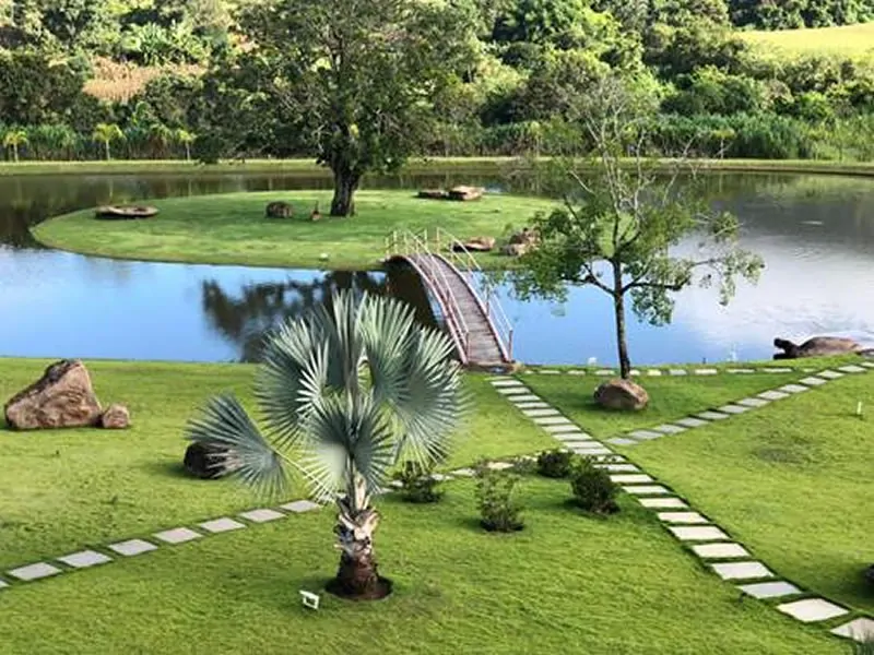 Grama, para além da estética: conheça 6 benefícios de ter gramado em residências - GRAMA