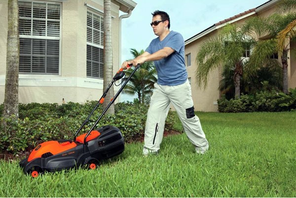 Fundamentos para cuidados de seu jardim na primavera - GRAMA