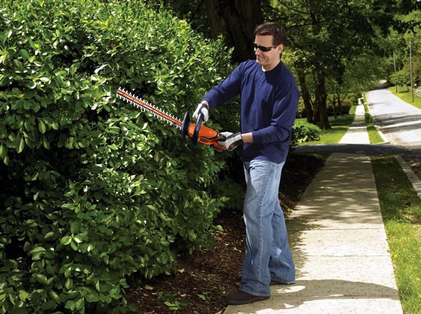 Fundamentos para cuidados de seu jardim na primavera - GRAMA1