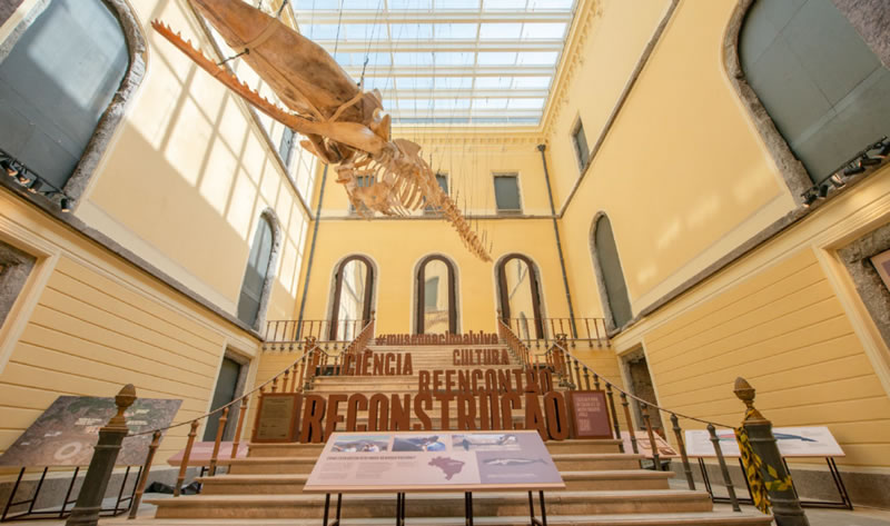 Nova claraboia do Museu Nacional torna-se destaque  na reconstrução do edifício histórico - GUARDIAN1