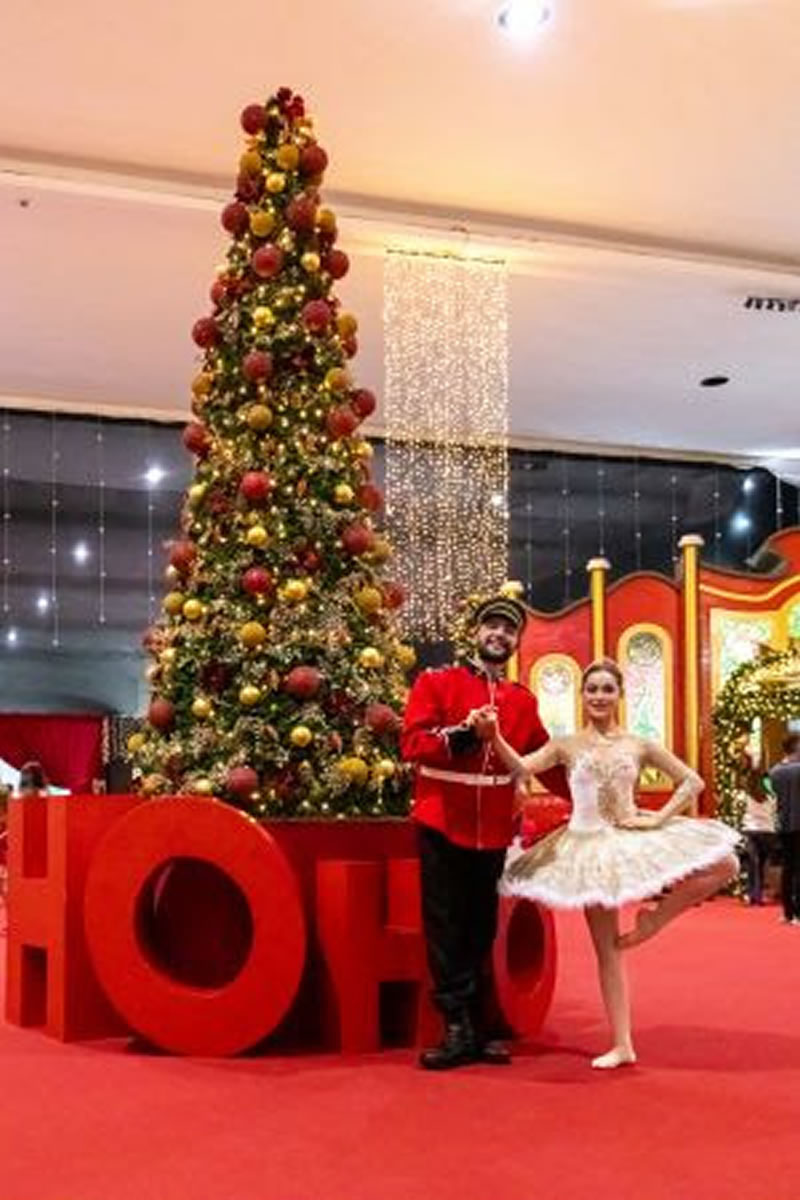 Natal de Holambra by Expoflora começa no dia 22 de Novembro - HOLAMBRA6 Natal de Holambra by Expoflora começa no dia 22 de Novembro - HOLAMBRA6