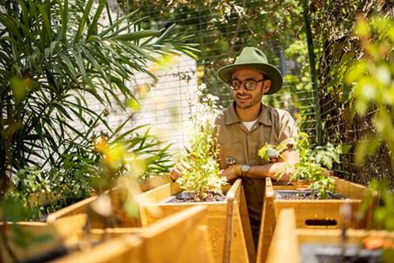 Paisagista João Queiroz cria horta nativa auto irrigável para o Hotel Rosewood - HORTAHOTEL