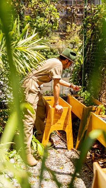 Paisagista João Queiroz cria horta nativa auto irrigável para o Hotel Rosewood - HORTAHOTEL1 1