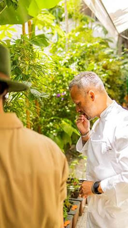 Paisagista João Queiroz cria horta nativa auto irrigável para o Hotel Rosewood - HORTAHOTEL2