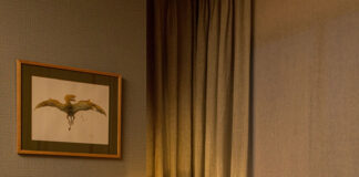 Coleção Kinder Dinossauro apresenta peças inspiradas no universo pré-histórico - KINDER