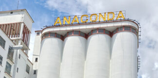 Do trigo ao pão: Kobra prepara a sua segunda maior obra da carreira - KOBRA