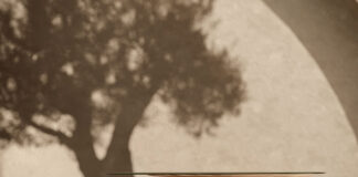 Uragano evidencia a singularidade do design inspirado na beleza da natureza - MESA