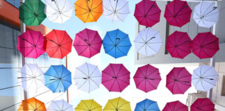 Patriani recebe Diploma de Empresa Cidadã, em Campinas - PATRIANI