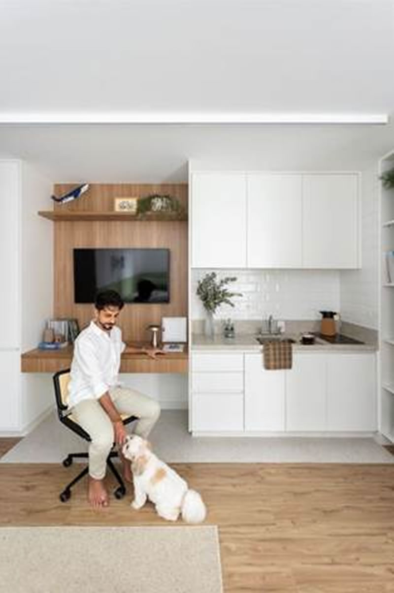 Arquitetura pet friendly: a casa pensada para moradores e seus pets - PET