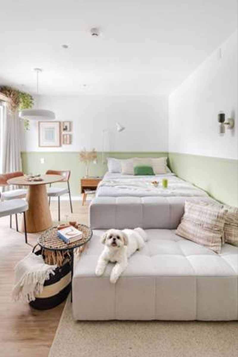 Arquitetura pet friendly: a casa pensada para moradores e seus pets - PET1