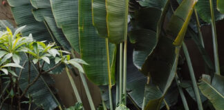 “Tapeçaria Panamericana”: coleção inspirada no modernismo é lançada em São Paulo “Tapeçaria Panamericana”: coleção inspirada no modernismo é lançada em São Paulo - TAPEÇARIA