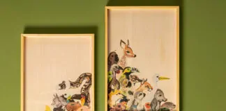 Em parceria com Instituto Vida Livre, Tok&Stok lança coleção inspirada na fauna brasileira Em parceria com Instituto Vida Livre, Tok&Stok lança coleção inspirada na fauna brasileira - TOK