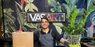 Transplante: Veja o passo a passo para manter a sua planta vigorosa - Vasart
