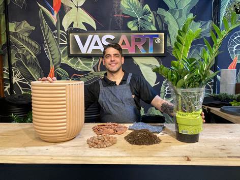 Transplante: Veja o passo a passo para manter a sua planta vigorosa - Vasart Transplante: Veja o passo a passo para manter a sua planta vigorosa - Vasart