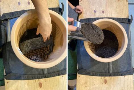 Transplante: Veja o passo a passo para manter a sua planta vigorosa - Vasart3