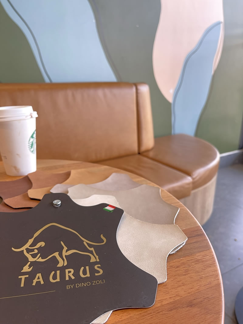 Cabeceira estofada: tecido ideal e limpeza - ZOLI2 Cabeceira estofada: tecido ideal e limpeza - ZOLI2