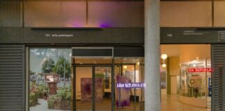 Público pode conhecer novos nomes da arte contemporânea em prédio icônico de Oscar Niemeyer - arte passagem