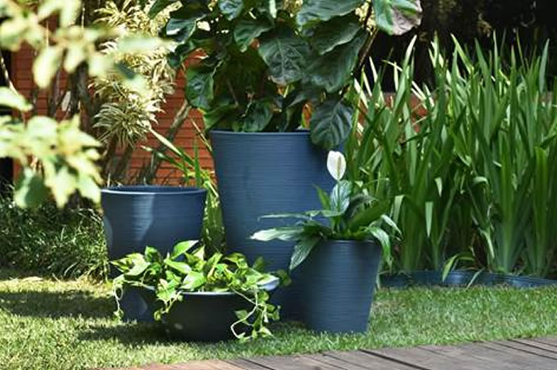 Arquitetura biofílica acentua conexão dos moradores e a natureza - bio 2 Arquitetura biofílica acentua conexão dos moradores e a natureza - bio 2