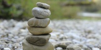 Práticas de Feng Shui deixam o banheiro mais agradável - fengshui