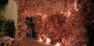 Demanda por flores permanentes avança na decoração - flor
