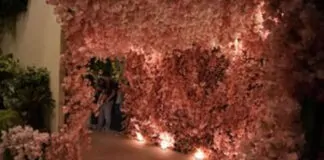 Demanda por flores permanentes avança na decoração - flor