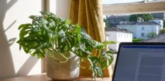 7 dicas para montar um escritório em casa - homeofficce2
