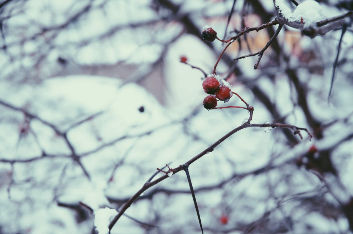 O inverno pede aconchego. Confira as dicas simples para chegar nisso - inverno dicas