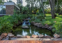 Jardim sensorial: como criar espaços que estimulem os sentidos Jardim sensorial: como criar espaços que estimulem os sentidos - jardim