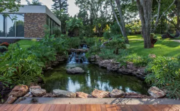 Jardim sensorial: como criar espaços que estimulem os sentidos - jardim