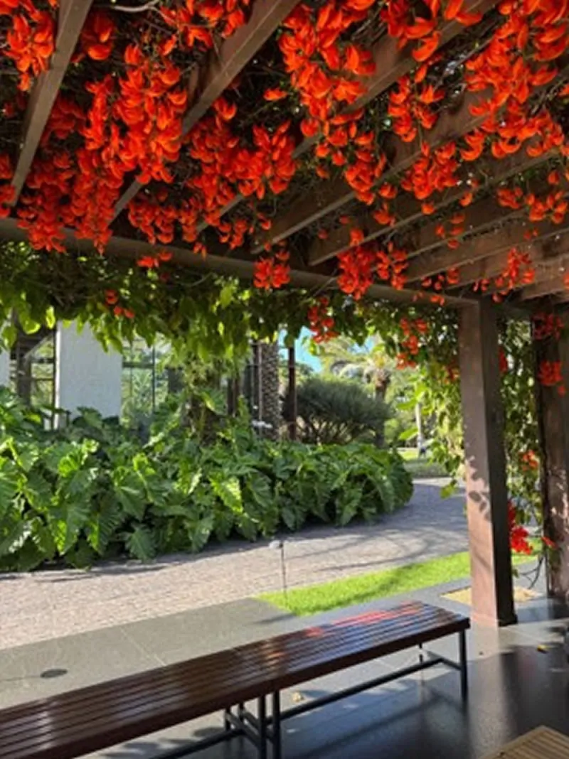 Jardim sensorial: como criar espaços que estimulem os sentidos - jardim2 Jardim sensorial: como criar espaços que estimulem os sentidos - jardim2