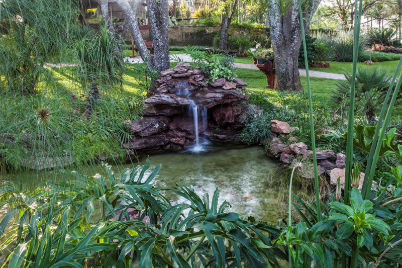 Jardim sensorial: como criar espaços que estimulem os sentidos - jardim3 Jardim sensorial: como criar espaços que estimulem os sentidos - jardim3