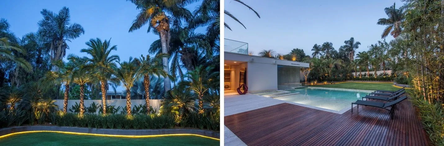 Paisagismo estratégico: soluções naturais para preservar a privacidade residencial - paisa2