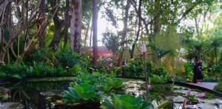 Sustentabilidade na Casa Cor SP 2025: paisagismo sustentável e poético - paisagismo2025