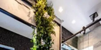 USO DE PLANTAS NA DECORAÇÃO DO BANHEIRO VOLTA A SER TENDÊNCIA - planta
