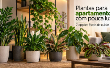 Plantas para apartamento com pouca luz: 7 opções fáceis de cuidar - plantas pouca luz