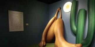 Maior exposição imersiva sobre Tarsila do Amaral  - tarsila