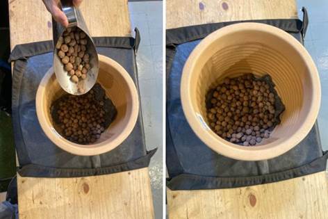 Transplante: Veja o passo a passo para manter a sua planta vigorosa - vasart2