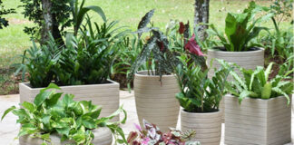 Tipos de vasos para todo os estilos de decoração - vasoart 01